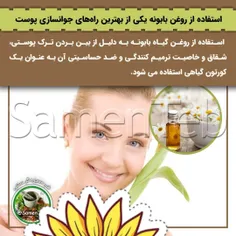 🌼استفاده از روغن بابونه یکی از بهترین راه‌های جوانسازی پو