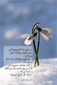 در جهانی که تمام موجوداتـش 