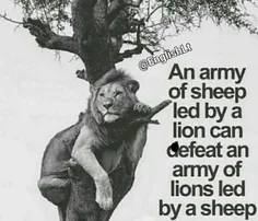 👌  یه ارتش گوسفند به رهبری یک شیر، میتونه یه ارتش شیر که 