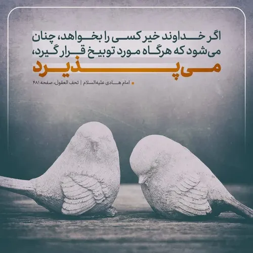 🔅 امام هادی علیه السلام: