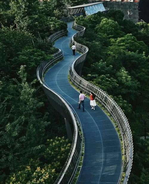 پل گردشگری در چین