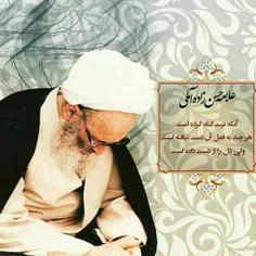 علامه حسن زاده آملی: