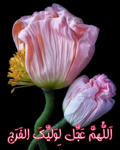 #اَللّهُمَّ  🌸🌸🌸