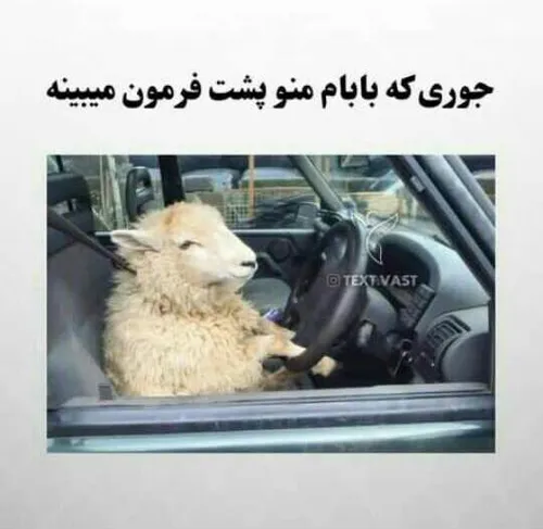 هعی😂😂...