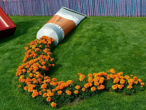 نارنجی و دیگر هیچ 😉 🌺 هنر خلاقیت لاک مد دکوراسیون گیاه
