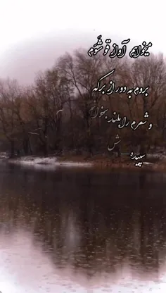 میخواهم آواز قو شَوَم 