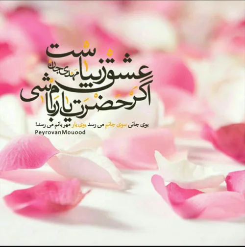 امام رضا(ع)