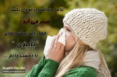 گوناگون faezeh.h.j 5781413