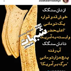 اگر کسی گفت زیباکلام کار نظام است، تعجب نکنید 