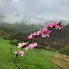 سیزده بدر واقعی ما