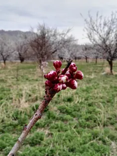 زندگی ادامه دارد...