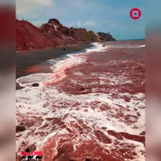 ساحل سرخ با خاکی خوراکی یکی از عجایب خاص خلیج فارس جزیره 