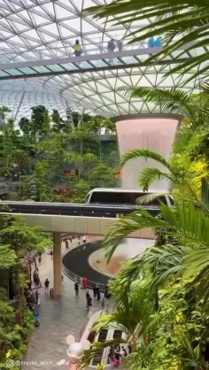 فرودگاه چانگی سنگاپور 🤩
