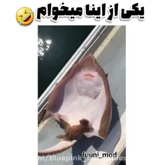 توهم یکی از اینا می خوای 😂😂