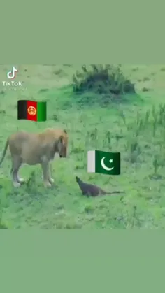 جنگ پاکستان و افغانستان💪🏻💪🏻🇦🇫🇦🇫 😂😂