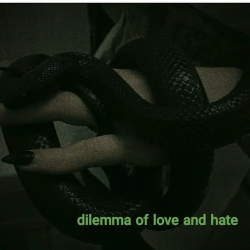 dilemma of love and hate
پارت 5