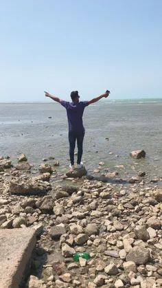 ساحل بوشهر