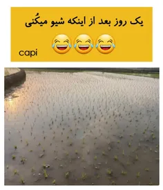 عا؟؟