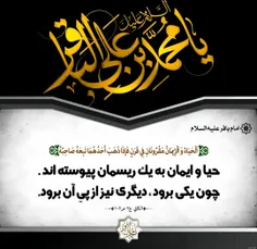 🔰#امام_باقر علیه السلام: حیا و ایمان به یک ریسمان پیوسته‌