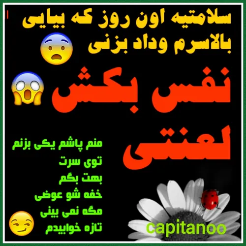 بروووو دیه