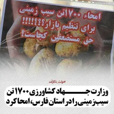 تدبیر سیب زمینی ! #نه_به_دولت_حسن_روحانی , #نه_به_روحانی