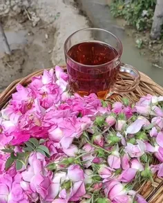 مهمترین مهارت در🌸 