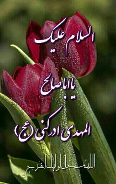 مذهبی donia0020 16082838