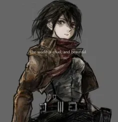 #mikasa #attack_on_titan #attack_fan_art