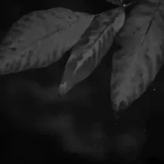 989169_8792 75316218