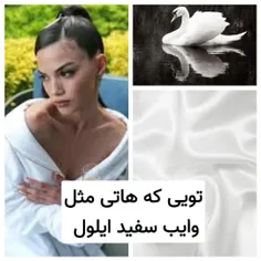 تقدیم به فالوورام 