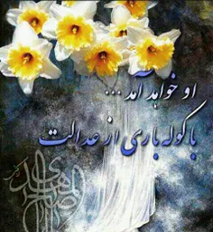 یامهدی ادرکنی