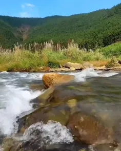 . سلام و ادب . طبیعت زیبای خداوند متعال ( جاری رود ) .