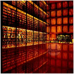 در دانشگاه ییل ایالات متحده، کتابخانه ای بدون پنجره وجود 