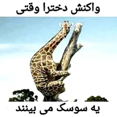 من دیدم😂😂🤣🤣🤣🤣