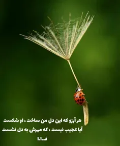 و اوست که می خنداند و می گریاند ...