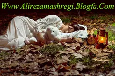 www.alirezamashregi.blogfa.com