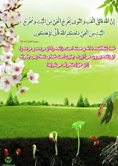 🌹 قرآن کریم - سوره انعام - آیه 95 🌹