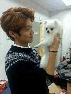 luhan with dog