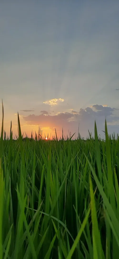 طبیعت زیبا 😍 !