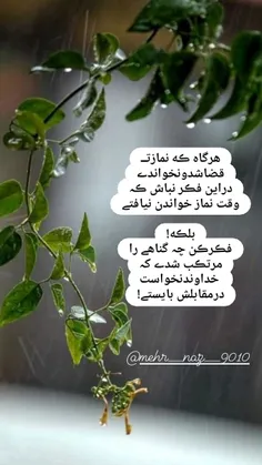 مذهبی parisa 31451941