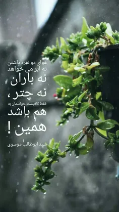 ‍ مادربزرگ