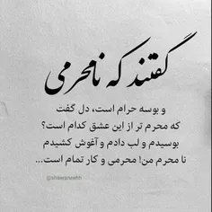 گفتند که نامحرمی