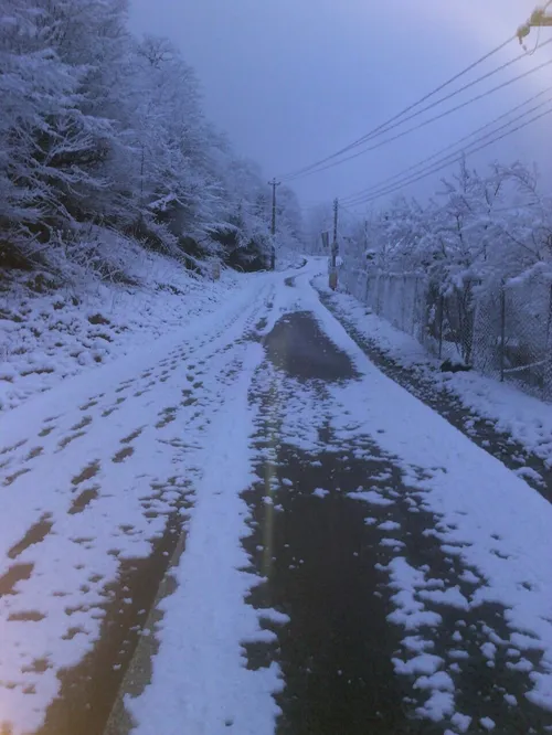 طبیعت زیبای گیلان.جاده فومن امروز صبح