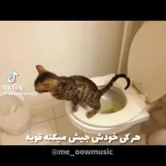 کی خودش جیش میکنه ؟ 🤣😂