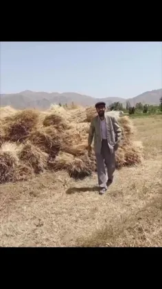 اوتوموشای کولور دیبیند بلع بیلیری نه خبردی 😒 والاااا🤣🤣🤣🤦‍