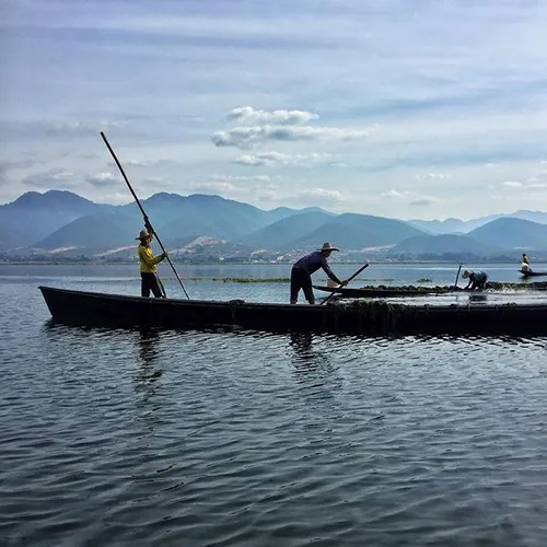 Inle lake. Fishermen and farmers work on the lake. Anothe