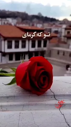 شیرازی+لبهای+تو+را+خال+گرفته+است