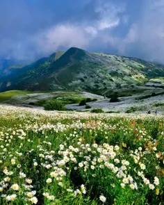 ‏تصویری از دشت بابونه، اردبیل