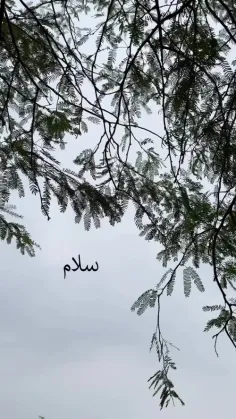 صبح که می شود دنبال اتفاقات 🌸🍂