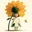 linda13890